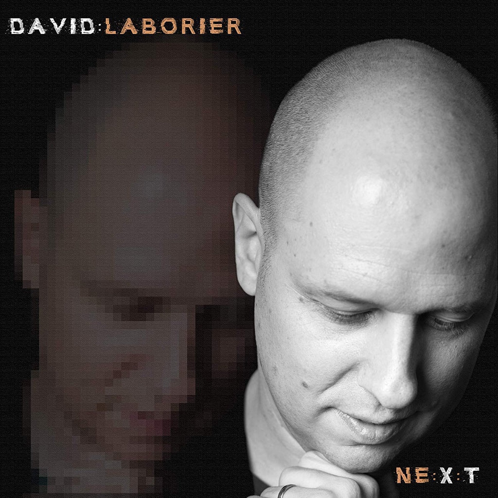 NE:X:T / David Laborier (Vinyle LP - Gatefold) - Front Cover