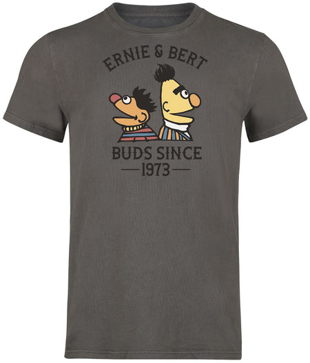 T-Shirt Manches courtes  de Sesame Street - Ernie und Bert - Bros Since 1973 - S à 3XL - pour Homme - gris - Sesame Street