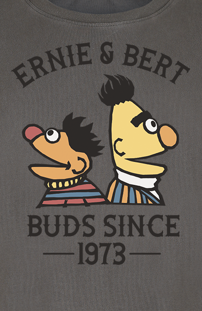 T-Shirt Manches courtes  de Sesame Street - Ernie und Bert - Bros Since 1973 - S à 3XL - pour Homme - gris - Sesame Street - View 2