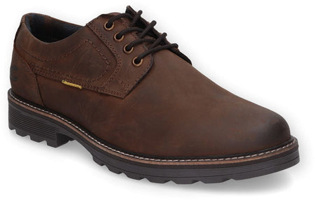 Chaussures à lacets  de Camel Active - Texas - EU41 à EU43 - pour Homme - marron - camel active