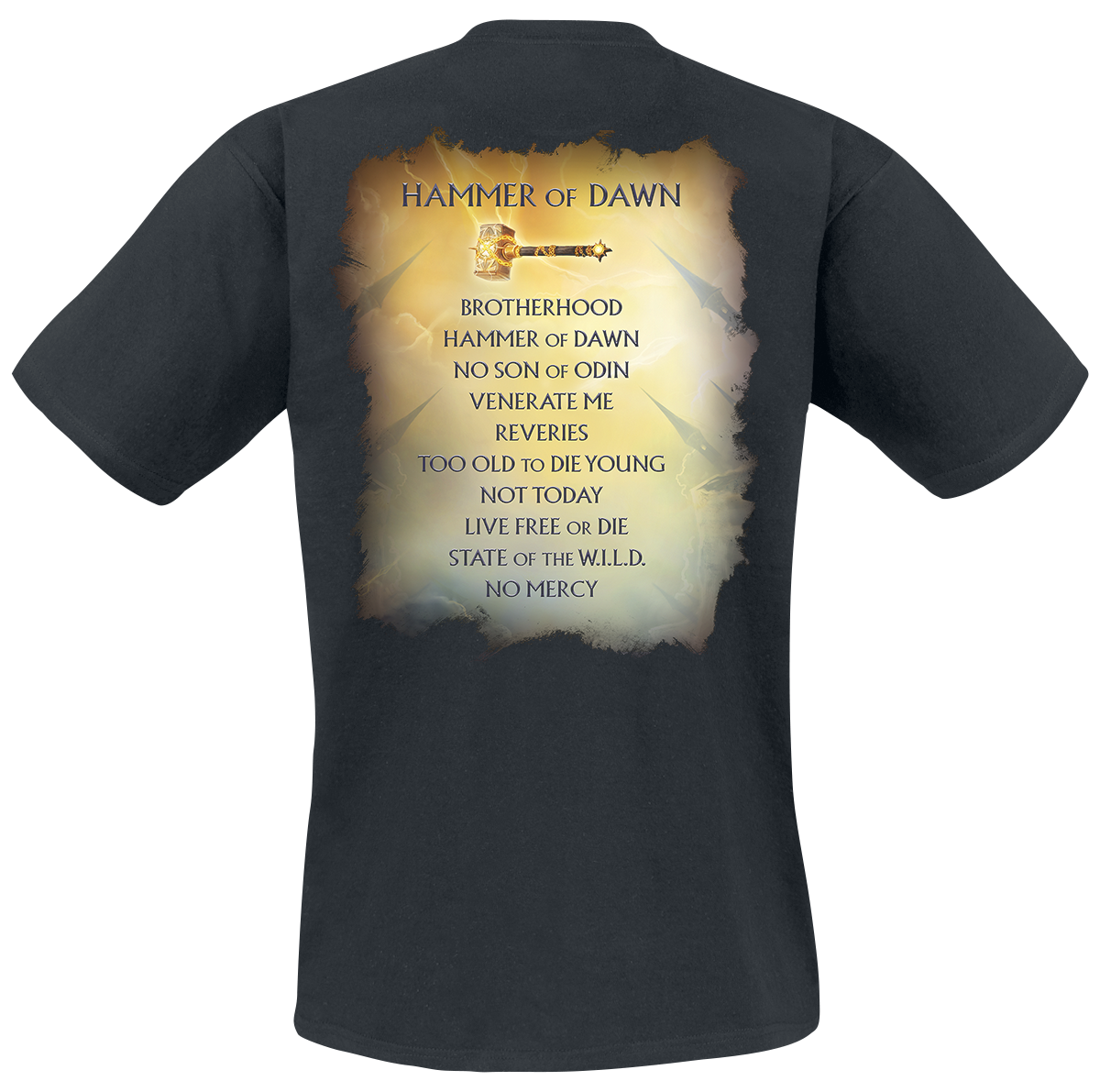 T-Shirt Manches courtes  de HammerFall - Hammer of dawn - S à 5XL - pour Homme - noir - HammerFall - View 2