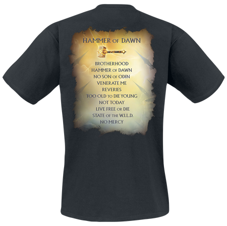 T-Shirt Manches courtes  de HammerFall - Hammer of dawn - S à 5XL - pour Homme - noir - HammerFall - View 2
