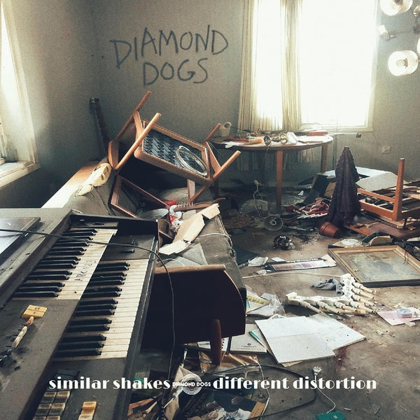 Similar Shakes Different Distortion - Front Cover
