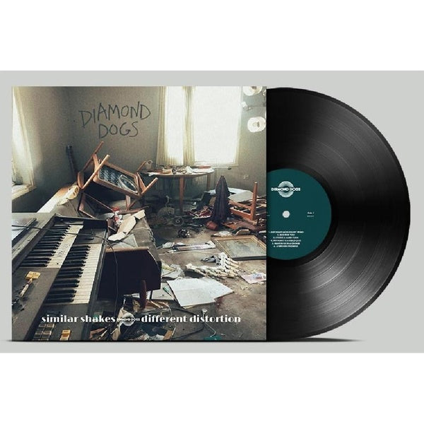 Similar Shakes Different Distortion - Front Cover