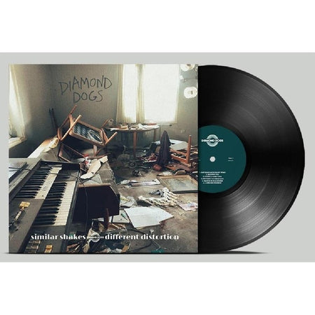Similar Shakes Different Distortion - Front Cover