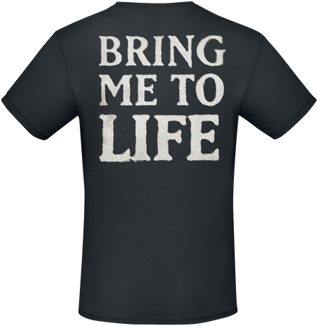 T-Shirt Manches courtes  de Evanescence - Fallen - S à XXL - pour Homme - noir - Evanescence - View 2