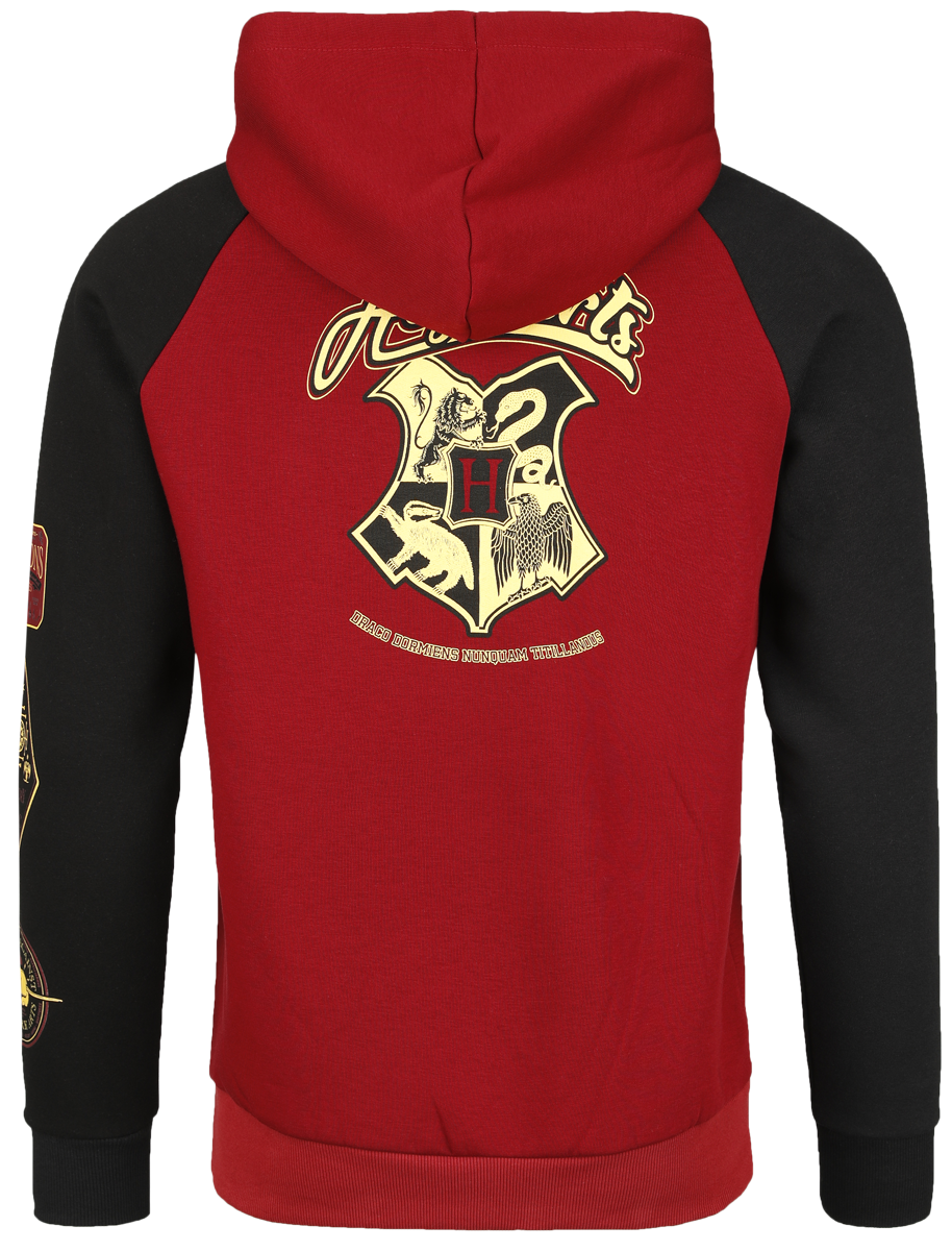 Sweat-shirt à capuche  de Harry Potter - Gryffondor - M à XXL - pour Homme - multicolore - Harry Potter - View 2