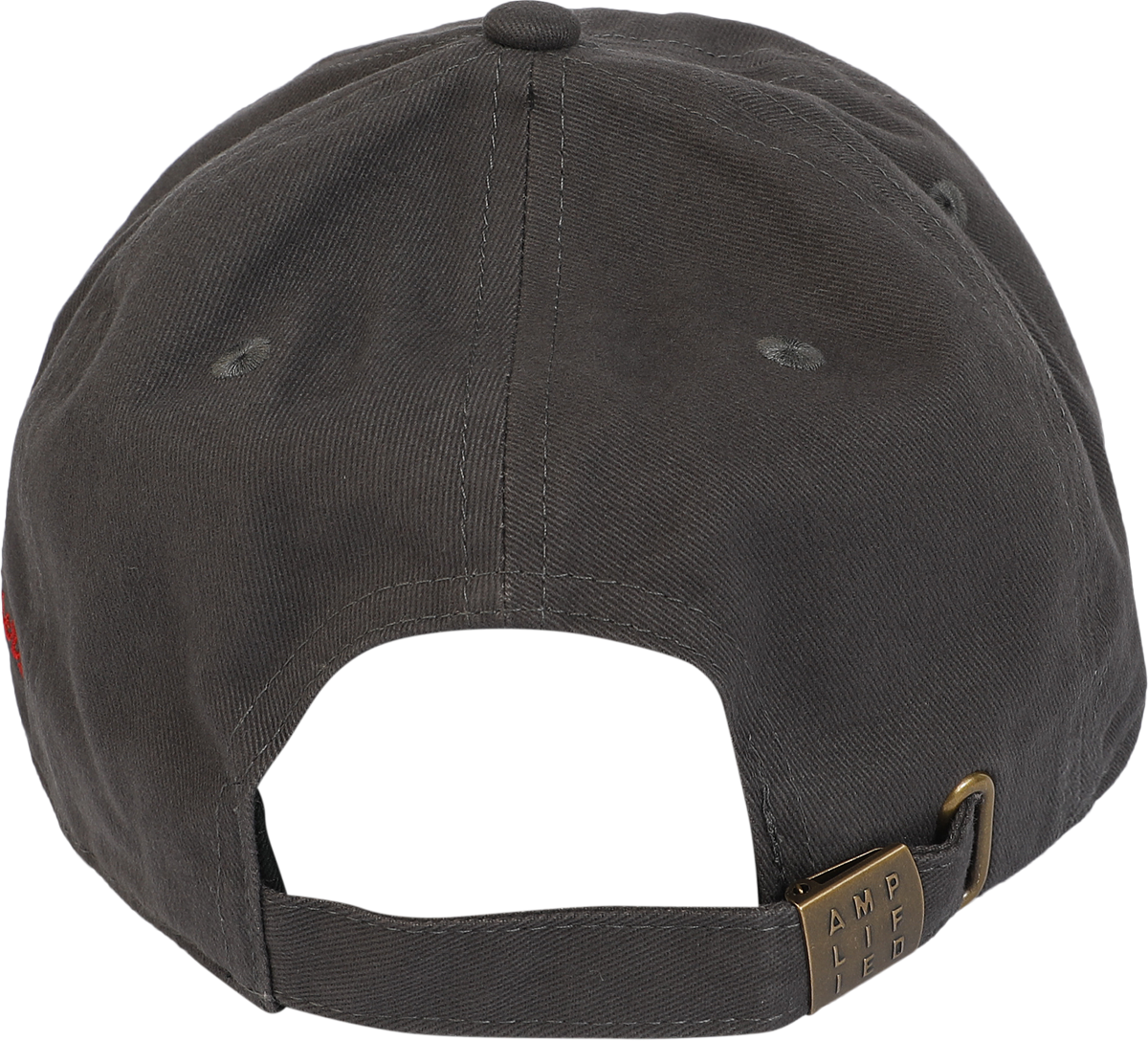 Casquette  de Foo Fighters - Amplified Collection - Foo Fighters - pour Unisexe - anthracite - Foo Fighters - View 2