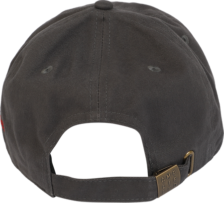 Casquette  de Foo Fighters - Amplified Collection - Foo Fighters - pour Unisexe - anthracite - Foo Fighters - View 2
