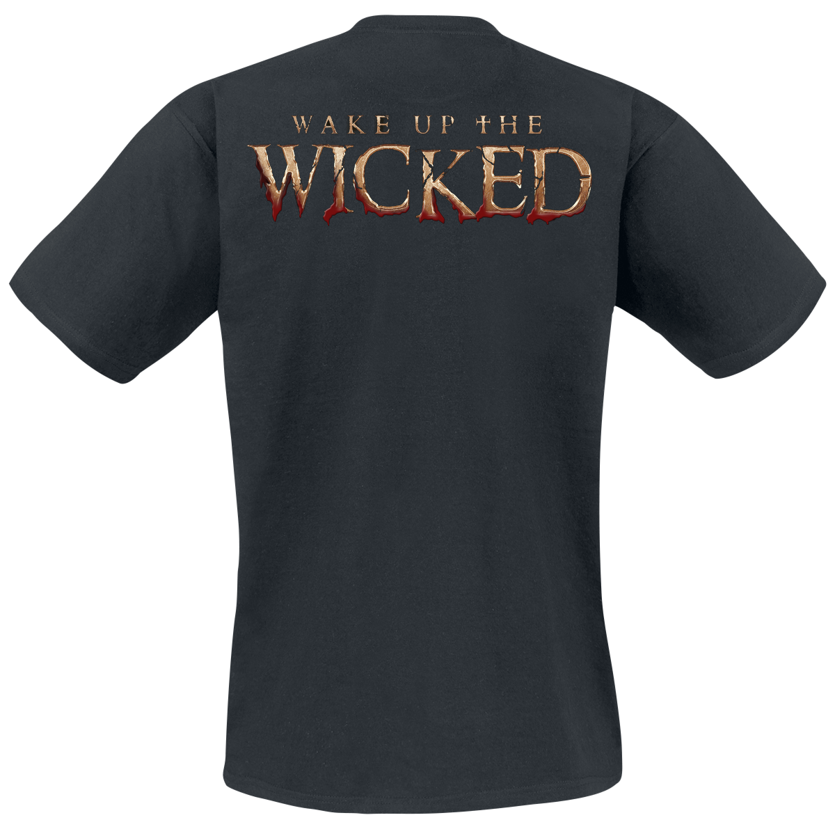 T-Shirt Manches courtes  de Powerwolf - Wake Up The Wicked - S à 5XL - pour Homme - noir - Powerwolf - View 2