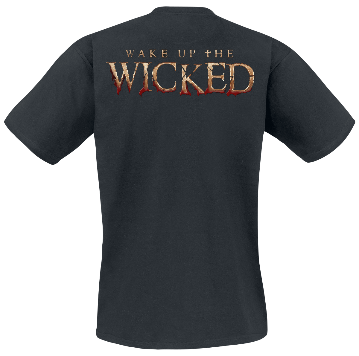 T-Shirt Manches courtes  de Powerwolf - Wake Up The Wicked - S à 5XL - pour Homme - noir - Powerwolf - View 2