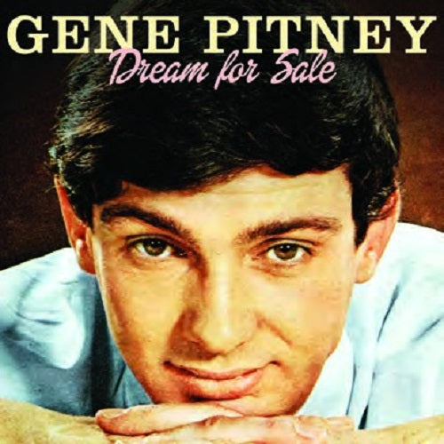 DREAM FOR SALE - Front Cover