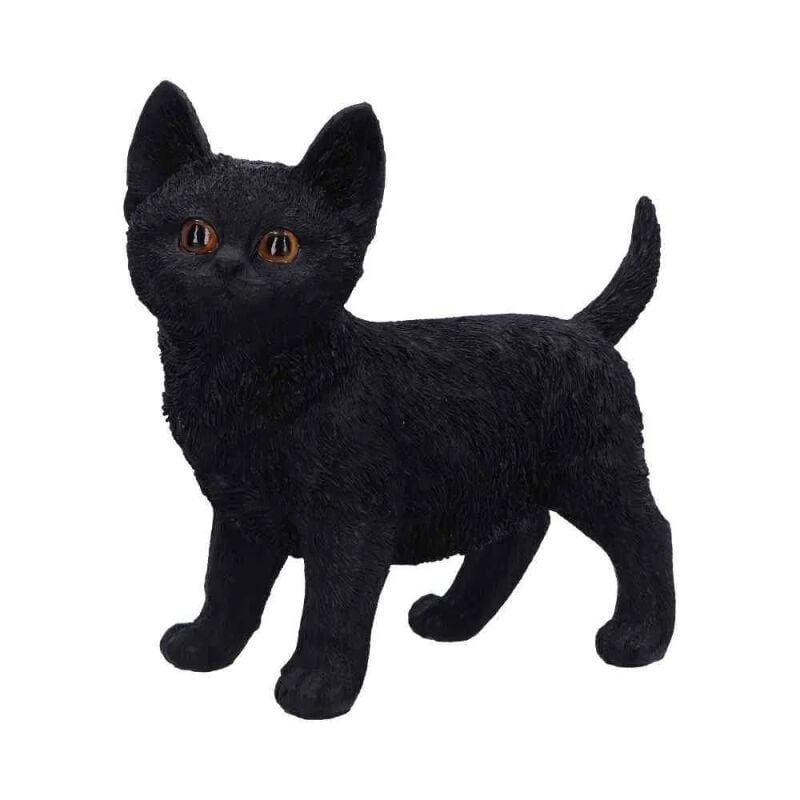 Articles De Décoration Gothic de Nemesis Now - Charmed Companion - pour Unisexe - Standard - Nemesis Now