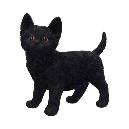 Articles De Décoration Gothic de Nemesis Now - Charmed Companion - pour Unisexe - Standard - Nemesis Now