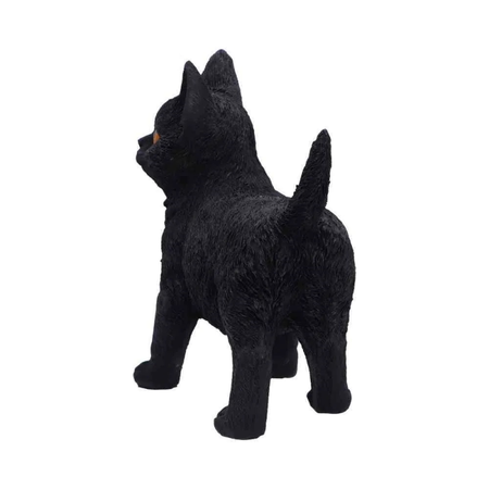 Articles De Décoration Gothic de Nemesis Now - Charmed Companion - pour Unisexe - Standard - Nemesis Now - View 2