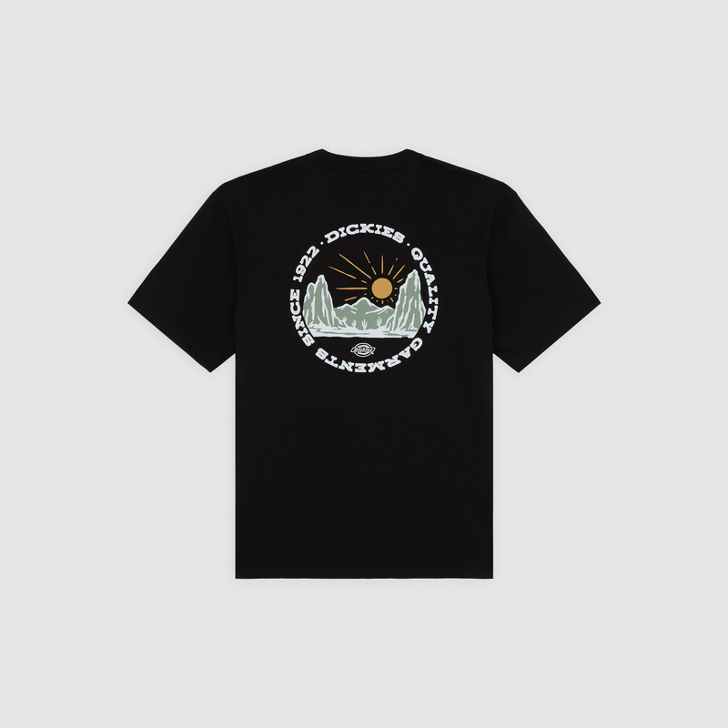 T-Shirt Manches courtes  de Dickies - DICKIES - T-SHIRT EXTÉRIEUR - S à L - pour Homme - noir - Dickies - View 2