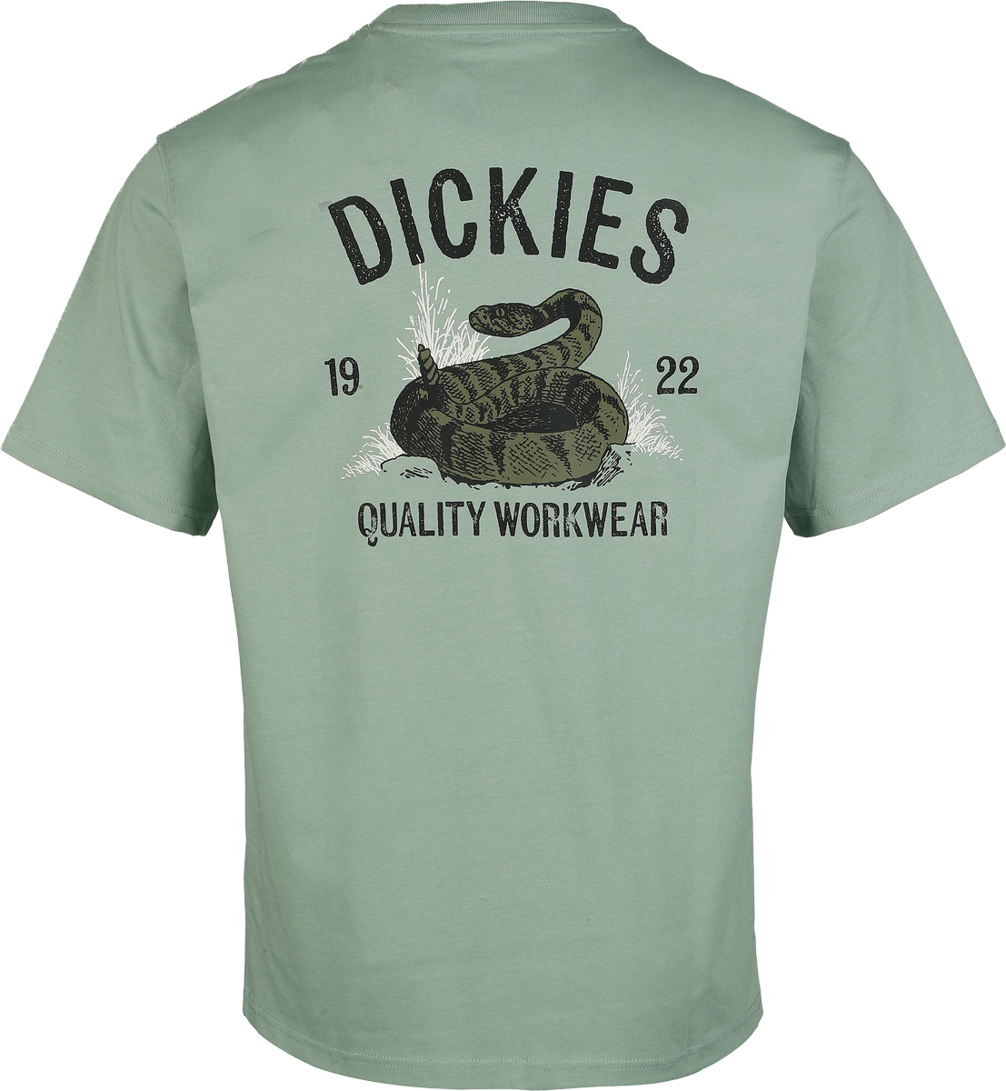 T-Shirt Manches courtes  de Dickies - SERPENT DICKIES - T-SHIRT - S à M - pour Homme - vert - Dickies - View 2