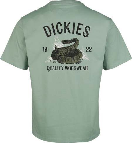 T-Shirt Manches courtes  de Dickies - SERPENT DICKIES - T-SHIRT - S à M - pour Homme - vert - Dickies - View 2