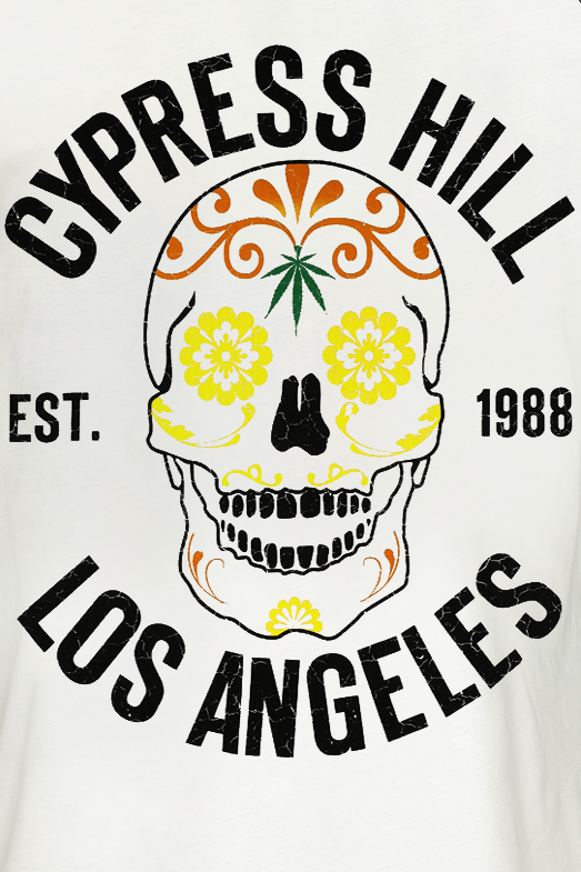 T-shirt manches longues  de Cypress Hill - Amplified Collection - Floral Skull - S à 3XL - pour Homme - multicolore - cypress hill - View 2