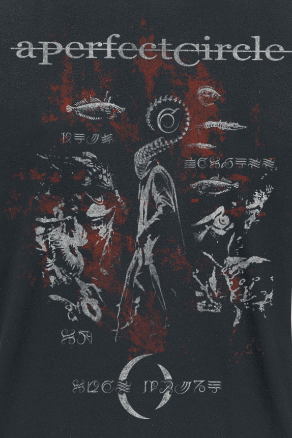 T-Shirt Manches courtes  de A Perfect Circle - Magdalena Distressed - M - pour Homme - noir - A Perfect Circle - View 2