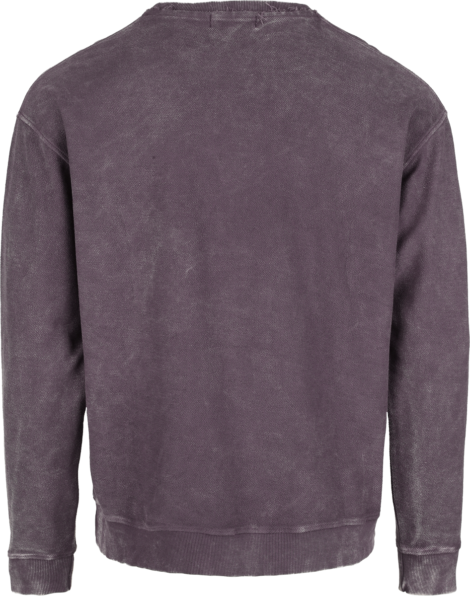 Sweat-shirt  de RED by EMP - Purple Dream - M à XXL - pour Homme - Violet foncé - RED by EMP - View 2