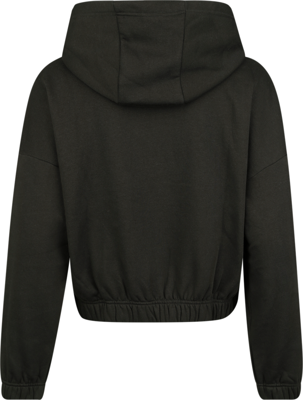 Sweat-shirt zippé à capuche  de Black Premium by EMP - Celtic fine lines - S à XXL - pour Femme - noir - Black Premium by EMP - View 2