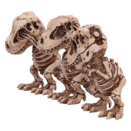 Statuette  de Nemesis Now - Three Wise Tyrannosaurus Rex Skeletons - pour Unisexe - multicolore - Nemesis Now - View 2