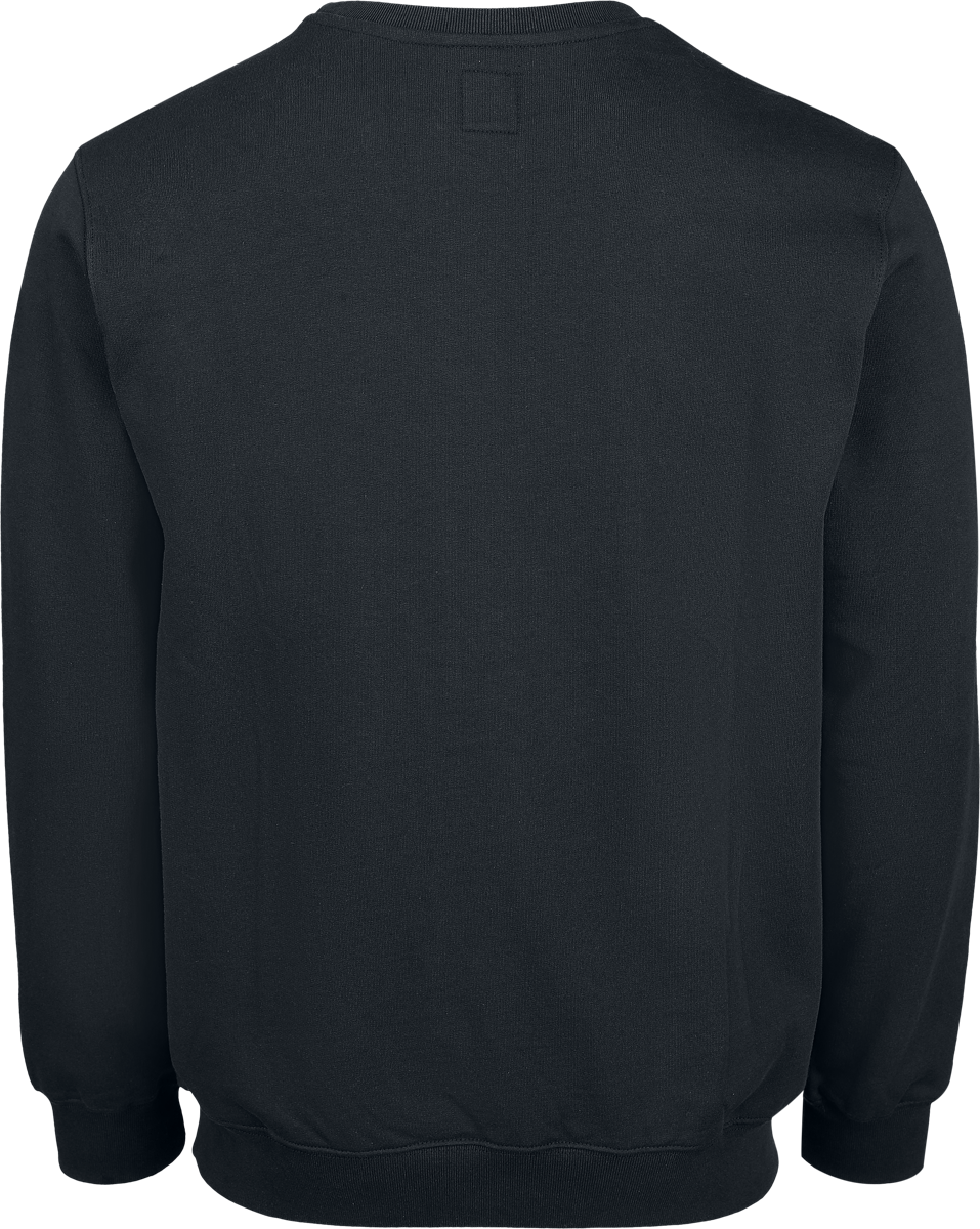 Sweat-shirt  de Vans - Vans - Sweat à Capuche Classique - S à XXL - pour Homme - noir - Vans - View 2