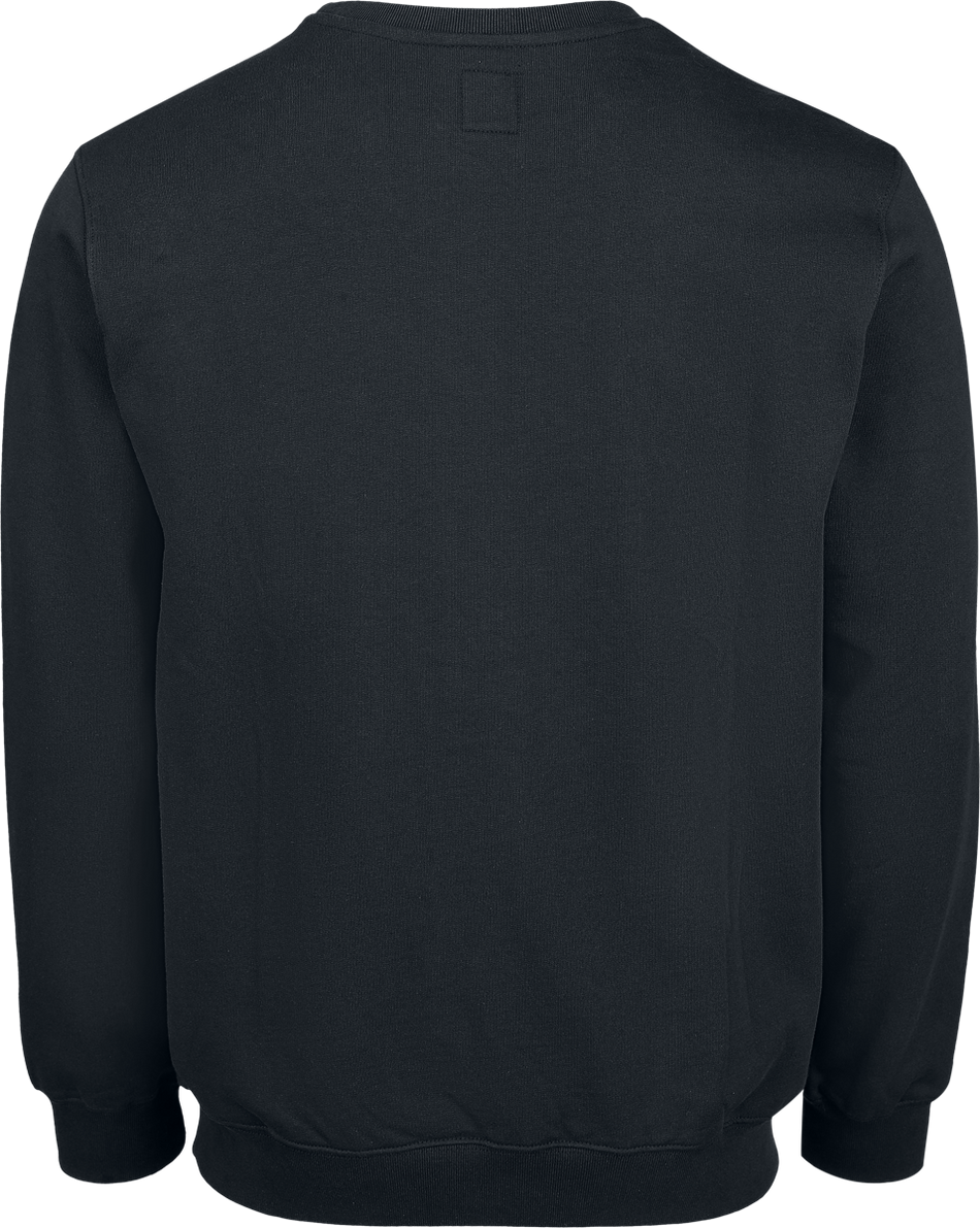 Sweat-shirt  de Vans - Vans - Sweat à Capuche Classique - S à XXL - pour Homme - noir - Vans - View 2