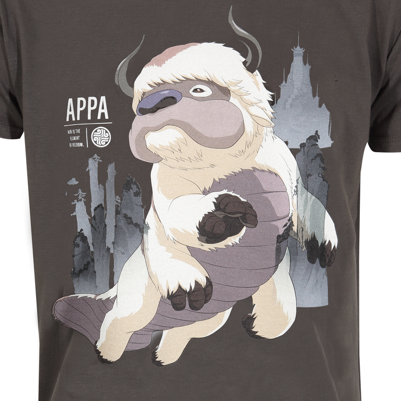 T-Shirt Manches courtes  de Avatar - Le Dernier Maître De L'Air - Appa - S à XXL - pour Homme - gris - Avatar - Le Dernier Maître De L'Air - View 2