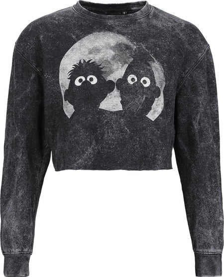 Sweat-shirt  de Sesame Street - Ernie und Bert - Moonlight - S à XXL - pour Femme - gris - Sesame Street