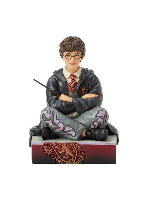 Figurine de collection  de Harry Potter - The Chosen One - Harry Potter - pour Unisexe - multicolore - Harry Potter