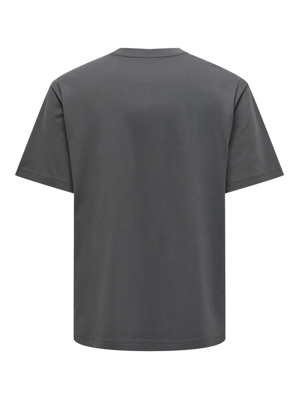 T-Shirt Manches courtes  de ONLY and SONS - ONSFRED LIFE RLX NOOS - T-SHIRT - M à XL - pour Homme - gris - ONLY and SONS - View 2