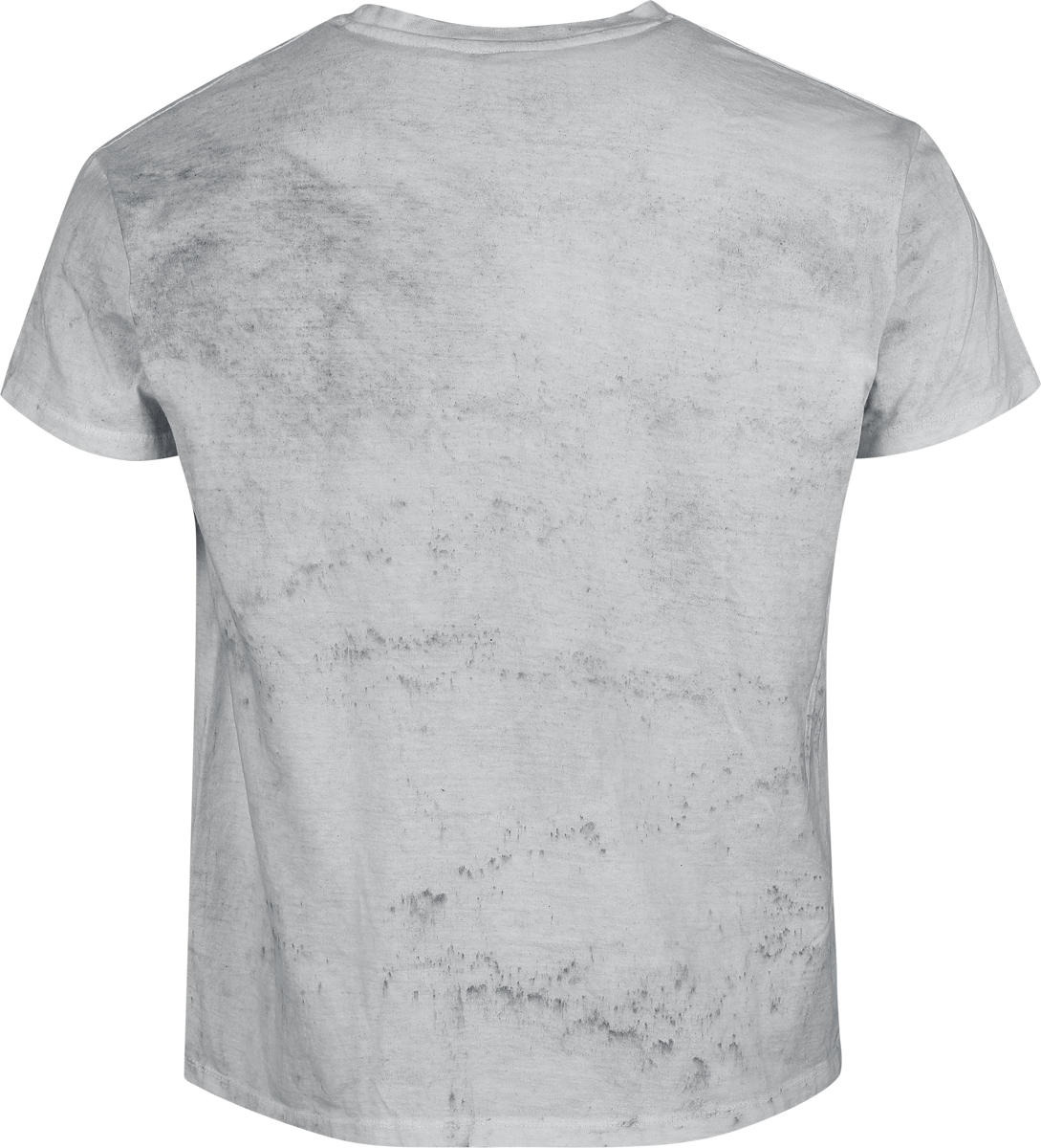 T-Shirt Manches courtes  de Paleface Swiss - Logo - S à 3XL - pour Homme - blanc - Paleface Swiss - View 2
