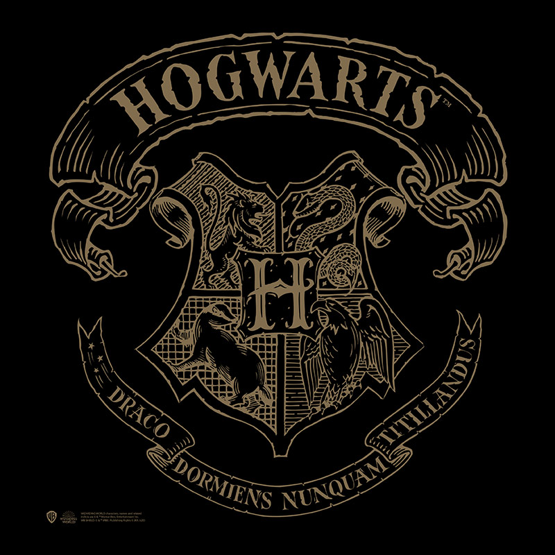Sac En Tissu  de Harry Potter - Emblème De Poudlard - pour Unisexe - noir/beige - Harry Potter - View 2
