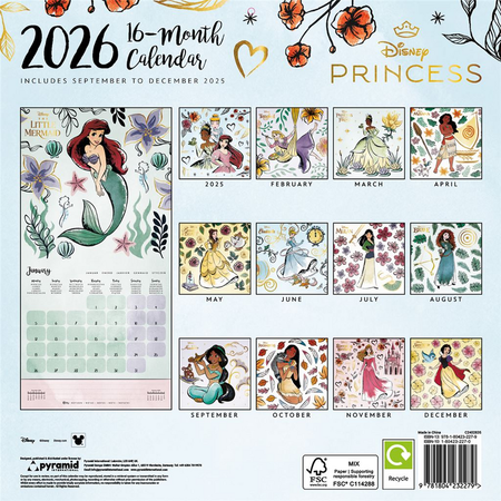 Calendrier mural Disney de Walt Disney - Princesses Disney - Calendrier Mural 2026 - pour Unisexe - multicolore - Walt Disney - View 2