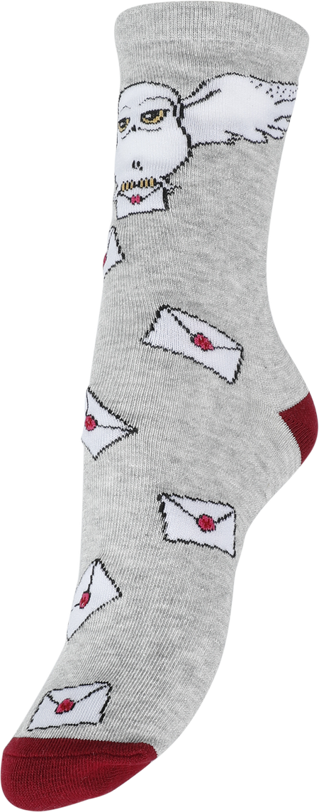 Chaussettes  de Harry Potter - Hogwarts Letter - S-M à L-XL - pour Unisexe - multicolore - Harry Potter - View 2