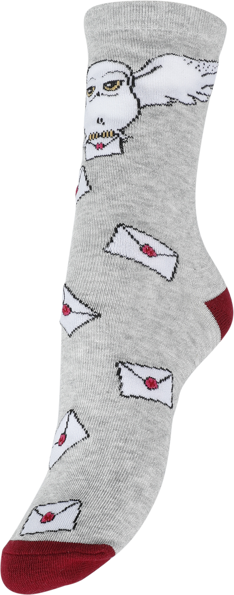 Chaussettes  de Harry Potter - Hogwarts Letter - S-M à L-XL - pour Unisexe - multicolore - Harry Potter - View 2