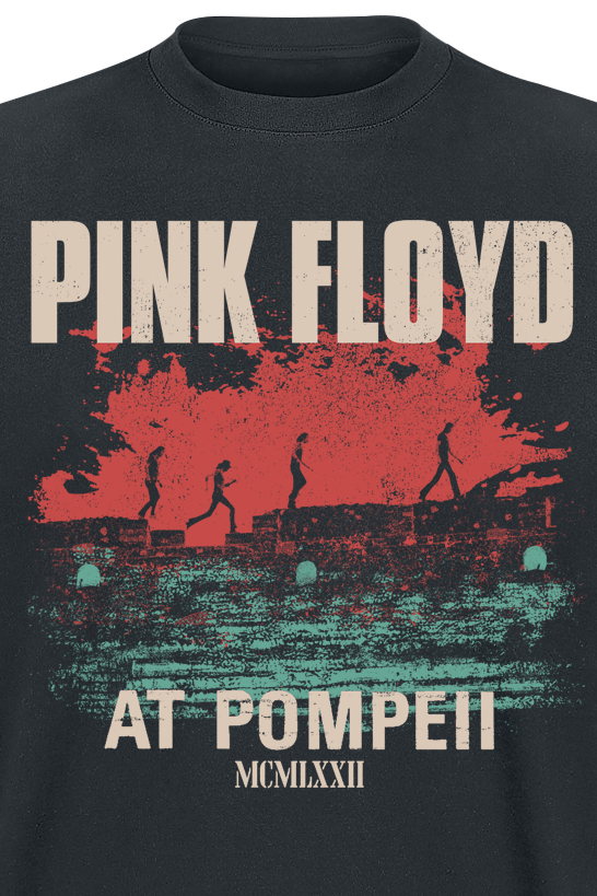 T-Shirt Manches courtes  de Pink Floyd - Pompeii Album Cover - S à 3XL - pour Homme - noir - Pink Floyd - View 2