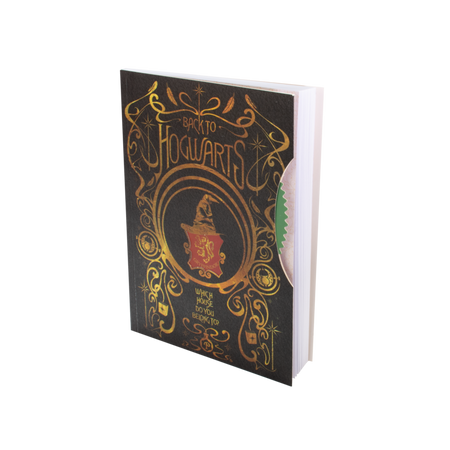 Carnet de notes  de Harry Potter - Retour À Poudlard - pour Unisexe - multicolore - Harry Potter - View 2