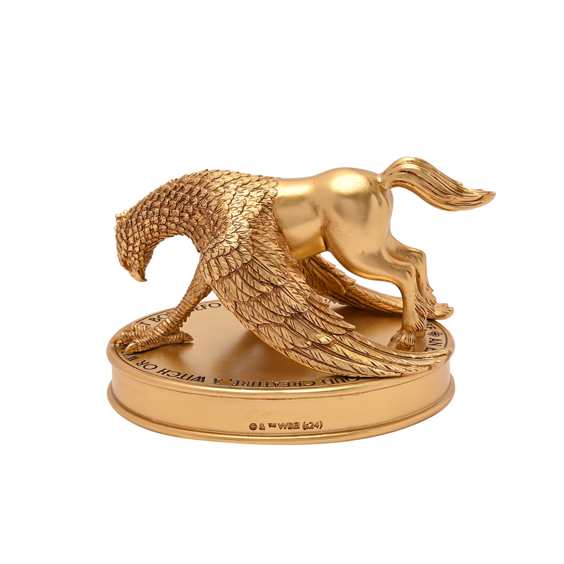 Statuette  de Harry Potter - Buck - pour Indifférent - couleur or - Harry Potter - View 2