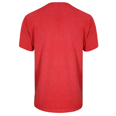 T-Shirt Manches courtes  de Gola - Gola - Logo Print Washed T-Shirt Red - S à XXL - pour Homme - rouge - Gola - View 2