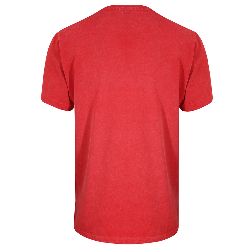 T-Shirt Manches courtes  de Gola - Gola - Logo Print Washed T-Shirt Red - S à XXL - pour Homme - rouge - Gola - View 2