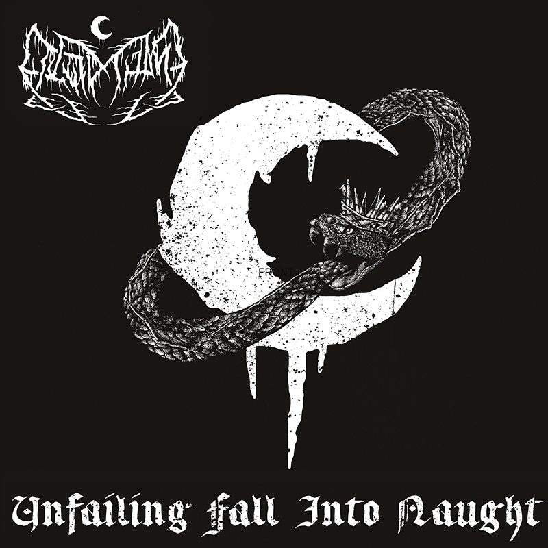 Unfailing Fall Into Naught - Front Cover