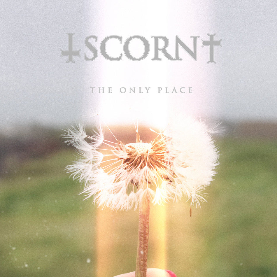 The Only Place/Orange Vinyl - Front Cover