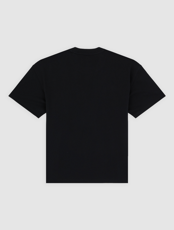 T-Shirt Manches courtes  de Dickies - IRONDALE TEE - S à XXL - pour Homme - noir - Dickies - View 2