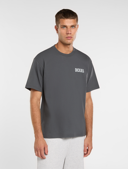 T-Shirt Manches courtes  de Dickies - WOLFHURST TEE - S à XXL - pour Homme - anthracite - Dickies - View 2