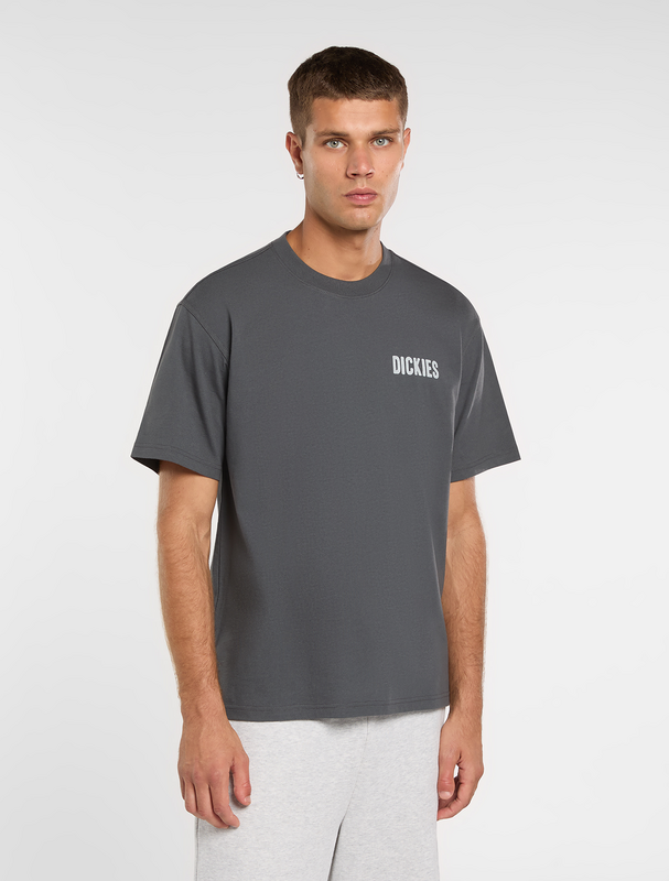 T-Shirt Manches courtes  de Dickies - WOLFHURST TEE - S à XXL - pour Homme - anthracite - Dickies - View 2