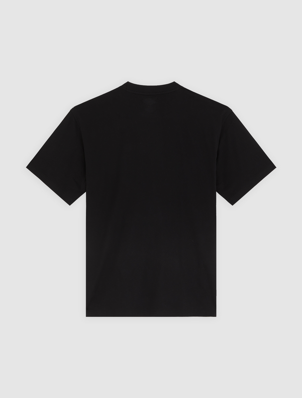 T-Shirt Manches courtes  de Dickies - LYNNDYL - T-SHIRT - S à XXL - pour Homme - noir - Dickies - View 2