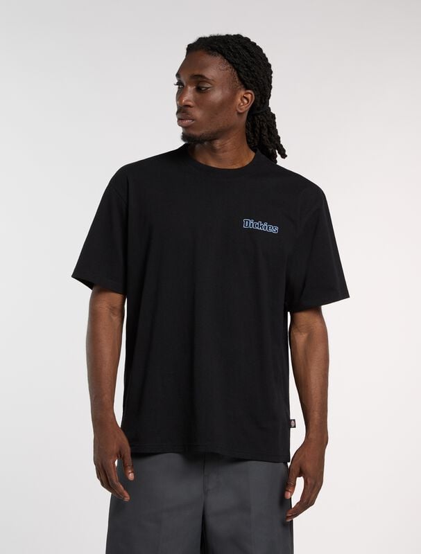 T-Shirt Manches courtes  de Dickies - FAIRLAWN - T-SHIRT - S à XXL - pour Homme - noir - Dickies